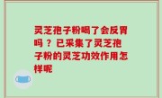 灵芝孢子粉喝了会反胃吗 ？已采集了灵芝孢子粉的灵芝功效作用怎样呢