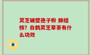 灵芝破壁孢子粉 肺结核？白鹤灵芝草茶有什么功效