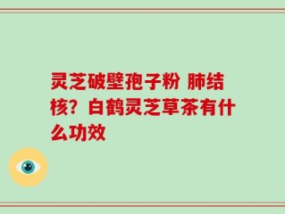 灵芝破壁孢子粉 肺结核？白鹤灵芝草茶有什么功效
