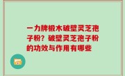 一力牌椴木破壁灵芝孢子粉？破壁灵芝孢子粉的功效与作用有哪些