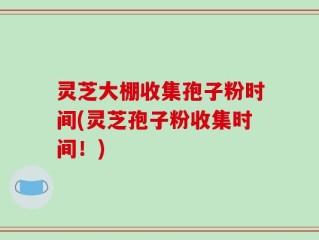 灵芝大棚收集孢子粉时间(灵芝孢子粉收集时间！)