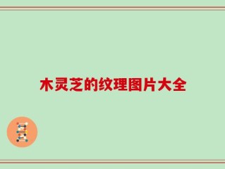 木灵芝的纹理图片大全