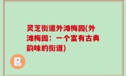 灵芝街道外滩梅园(外滩梅园：一个富有古典韵味的街道)
