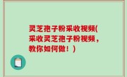 灵芝孢子粉采收视频(采收灵芝孢子粉视频，教你如何做！)