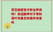 灵芝破壁孢子粉含钾高吗？高锰酸钾对于枣树落叶效果怎样最早有害吗