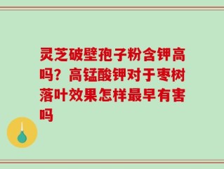 灵芝破壁孢子粉含钾高吗？高锰酸钾对于枣树落叶效果怎样最早有害吗