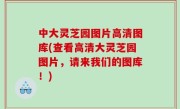 中大灵芝园图片高清图库(查看高清大灵芝园图片，请来我们的图库！)