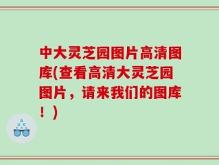 中大灵芝园图片高清图库(查看高清大灵芝园图片，请来我们的图库！)