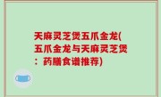 天麻灵芝煲五爪金龙(五爪金龙与天麻灵芝煲：药膳食谱推荐)