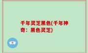 千年灵芝黑色(千年神奇：黑色灵芝)