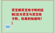 灵芝跟灵芝炮子粉的区别(区分灵芝与灵芝炮子粉，你真的知道吗？)