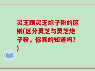 灵芝跟灵芝炮子粉的区别(区分灵芝与灵芝炮子粉，你真的知道吗？)