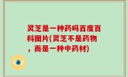 灵芝是一种药吗百度百科图片(灵芝不是药物，而是一种中药材)