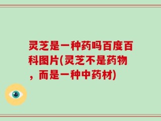 灵芝是一种药吗百度百科图片(灵芝不是药物，而是一种中药材)