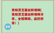 贵阳灵芝菌丝粉视频(贵阳灵芝菌丝粉视频分享，全程跟拍，品控到家！)