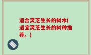 适合灵芝生长的树木(适宜灵芝生长的树种推荐。)