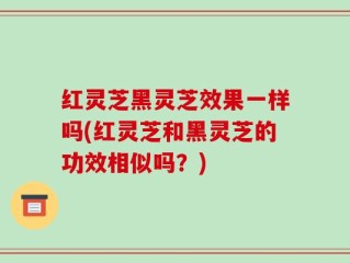 红灵芝黑灵芝效果一样吗(红灵芝和黑灵芝的功效相似吗？)