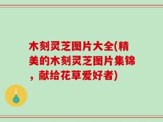 木刻灵芝图片大全(精美的木刻灵芝图片集锦，献给花草爱好者)