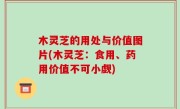 木灵芝的用处与价值图片(木灵芝：食用、药用价值不可小觑)