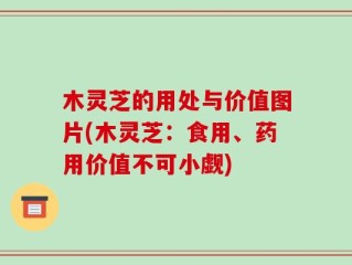 木灵芝的用处与价值图片(木灵芝：食用、药用价值不可小觑)