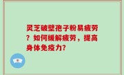 灵芝破壁孢子粉易疲劳？如何缓解疲劳，提高身体免疫力？