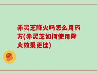 赤灵芝降火吗怎么用药方(赤灵芝如何使用降火效果更佳)
