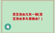 灵芝泡水几天一换(灵芝泡水多久更换水？)
