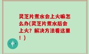 灵芝片煮水会上火嘛怎么办(灵芝片煮水后会上火？解决方法看这里！)