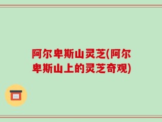 阿尔卑斯山灵芝(阿尔卑斯山上的灵芝奇观)