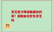灵芝孢子降尿酸最快的茶？尿酸能吃野生灵芝吗