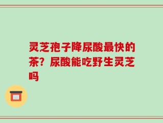 灵芝孢子降尿酸最快的茶？尿酸能吃野生灵芝吗