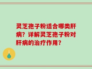 灵芝孢子粉适合哪类肝病？详解灵芝孢子粉对肝病的治疗作用？