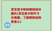灵芝孢子粉的规格划分图片(灵芝孢子粉尺寸分类图，了解规格选购更省心)