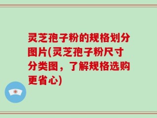 灵芝孢子粉的规格划分图片(灵芝孢子粉尺寸分类图，了解规格选购更省心)
