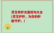 灵芝养肝文案短句大全(灵芝护肝，为你的肝脏守护。)