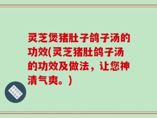 灵芝煲猪肚子鸽子汤的功效(灵芝猪肚鸽子汤的功效及做法，让您神清气爽。)
