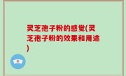 灵芝孢子粉的感觉(灵芝孢子粉的效果和用途)