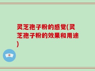 灵芝孢子粉的感觉(灵芝孢子粉的效果和用途)