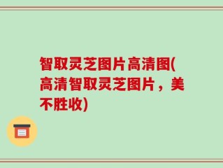智取灵芝图片高清图(高清智取灵芝图片，美不胜收)