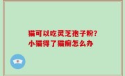 猫可以吃灵芝孢子粉？小猫得了猫癣怎么办