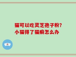 猫可以吃灵芝孢子粉？小猫得了猫癣怎么办