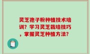 灵芝孢子粉种植技术培训？学习灵芝栽培技巧，掌握灵芝种植方法？