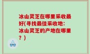 冰山灵芝在哪里采收最好(寻找最佳采收地：冰山灵芝的产地在哪里？)