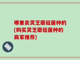 哪里卖灵芝蘑菇菌种的(购买灵芝蘑菇菌种的商家推荐)