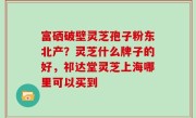 富硒破壁灵芝孢子粉东北产？灵芝什么牌子的好，祁达堂灵芝上海哪里可以买到
