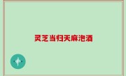 灵芝当归天麻泡酒