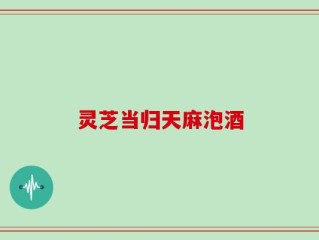 灵芝当归天麻泡酒
