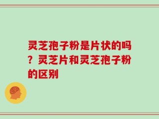 灵芝孢子粉是片状的吗？灵芝片和灵芝孢子粉的区别