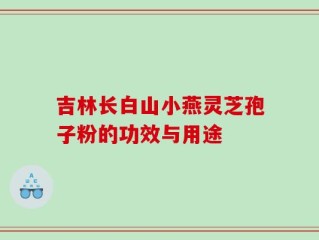 吉林长白山小燕灵芝孢子粉的功效与用途