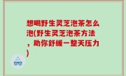 想喝野生灵芝泡茶怎么泡(野生灵芝泡茶方法，助你舒缓一整天压力)